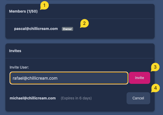 Screenshot showing the invite user button and the process